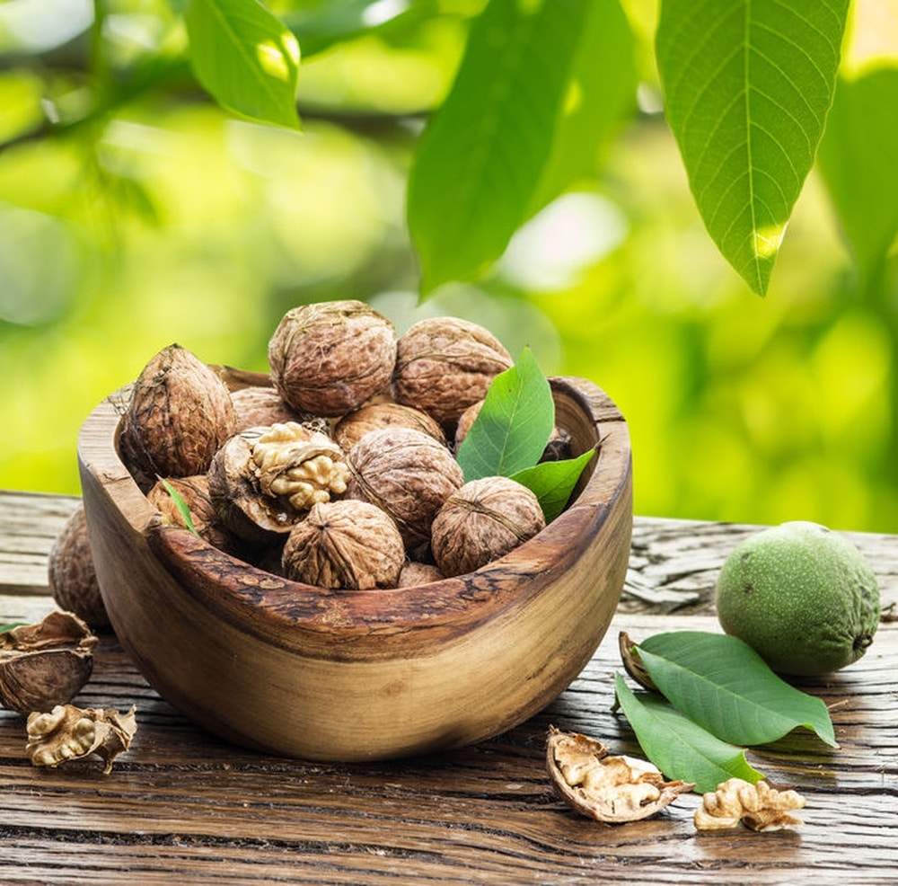 Juglans Regia "Broadview" - Afbeelding 3